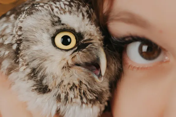 Casino Welcome Bingo Ënnerstëtzung